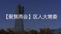 【聚焦兩會(huì)】區(qū)人大常委會(huì)舉行集體憲法宣誓儀式