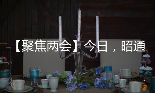 【聚焦兩會】今日，昭通政協委員陸續報到（附現場視頻）