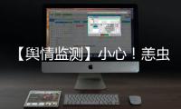 【輿情監測】小心！恙蟲病感染流行
