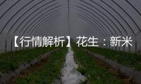 【行情解析】花生：新米上市供強需弱，價格承壓