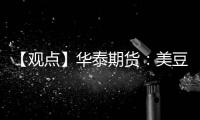 【觀點】華泰期貨：美豆止跌反彈，豆粕沖高回落