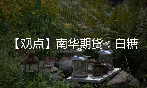【觀點】南華期貨：白糖：偏強糾結