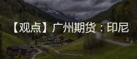【觀點(diǎn)】廣州期貨：印尼鎳礦消息影響有限，短期震蕩偏弱為主