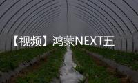 【視頻】鴻蒙NEXT五大體驗再升級！說說真實感受