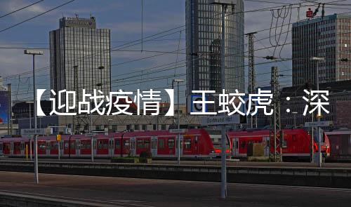【迎戰(zhàn)疫情】王蛟虎：深化“六重”清單 高質(zhì)量推進(jìn)海上花園建設(shè)