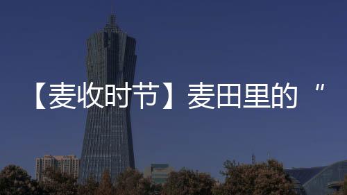【麥收時節】麥田里的“急救員”