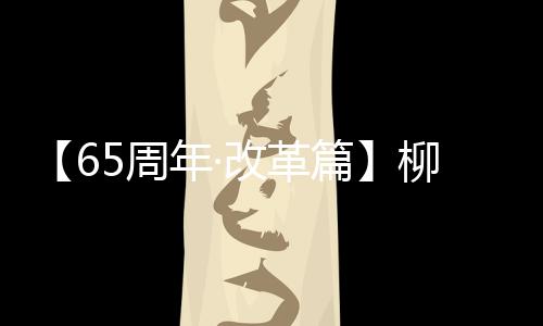 【65周年·改革篇】柳工上市30周年：向新而生 向遠而行