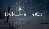 【96芯三網(wǎng)合一光纜交接箱】三網(wǎng)光纖交接箱
