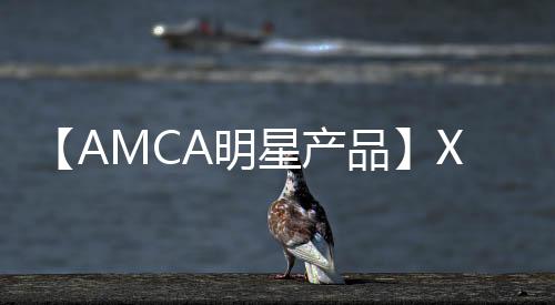 【AMCA明星產品】XAM340行走馬達——大噸位挖掘機的不二之選！