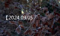 【2024.09.05】英山一河兩岸燈光秀如夢似幻