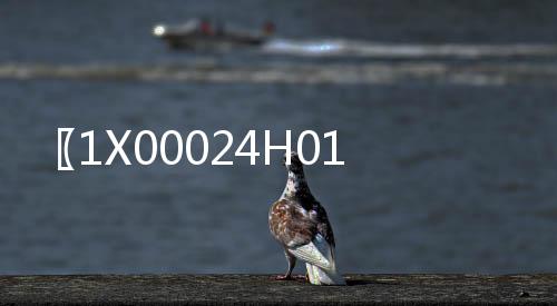 〖1X00024H01〗OVATION模塊
