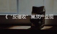 《“反催收”黑灰產(chǎn)業(yè)現(xiàn)狀危機(jī)及其治理研究報(bào)告》發(fā)布