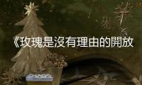 《玫瑰是沒有理由的開放》：一切閃耀的都不會熄滅——香港家書