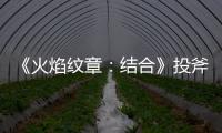 《火焰紋章：結合》投斧怎么獲得