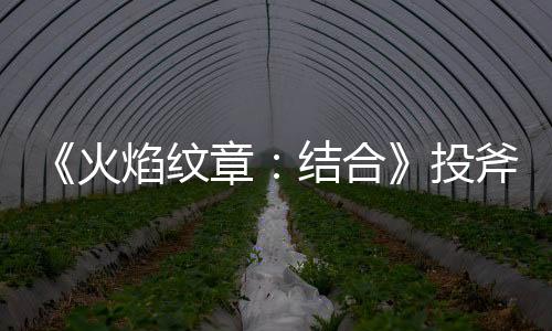 《火焰紋章：結合》投斧怎么獲得
