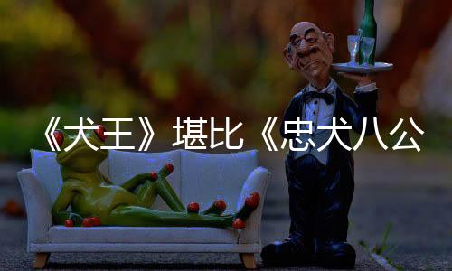 《犬王》堪比《忠犬八公》，為何卻遭萬人呼吁下架？