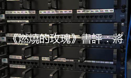 《燃燒的玫瑰》書評：將法蘭西的時代意志，濃縮在以古鑒今的復仇故事裡
