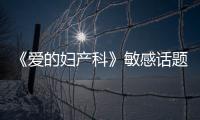 《愛的婦產科》敏感話題引發觀眾熱議 收視一路走高【電視劇】風尚中國網