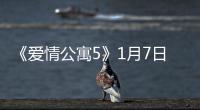 《愛情公寓5》1月7日愛奇藝獨播 最終季共36集