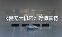《愛寵大機密》曝驚喜特輯 反派小白登場【娛樂新聞】風尚中國網