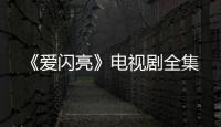 《愛閃亮》電視劇全集
