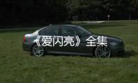 《愛閃亮》全集