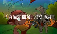《真愛如血第六季》6月16日正式開播【風尚娛樂網】風尚中國網
