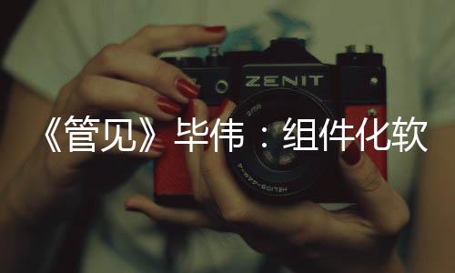 《管見》畢偉：組件化軟件開發方法