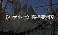 《神犬小七》亮相亞洲寵物展 成重量級(jí)大咖【娛樂(lè)新聞】風(fēng)尚中國(guó)網(wǎng)