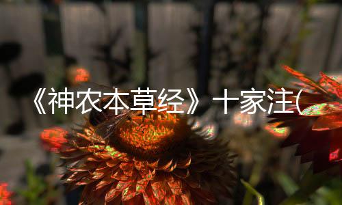 《神農(nóng)本草經(jīng)》十家注(關(guān)于《神農(nóng)本草經(jīng)》十家注簡(jiǎn)述)