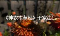 《神農本草經》十家注(關于《神農本草經》十家注簡述)