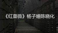 《紅薔薇》楊子姍陳曉化身劇宣   為“君竹CP”合體預熱