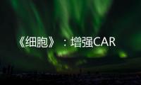 《細胞》：增強CAR