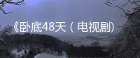 《臥底48天（電視劇)》全集