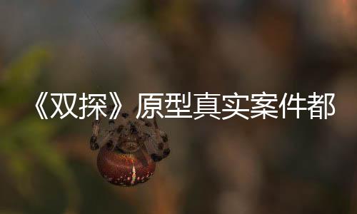 《雙探》原型真實案件都有哪些？《雙探》講述了什么故事？