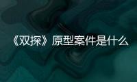 《雙探》原型案件是什么？《雙探》講述了什么故事？