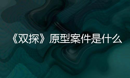 《雙探》原型案件是什么？《雙探》講述了什么故事？