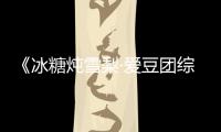 《冰糖燉雪梨·愛豆團綜》一共有幾期？分別為什么主題？