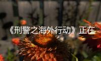 《刑警之海外行動》正在熱播 立足現實展現家國情懷