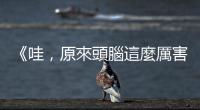 《哇，原來(lái)頭腦這麼厲害！》：神經(jīng)科學(xué)家如何探究大腦地圖？