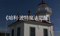 《哈利·波特魔法覺(jué)醒:如何閱讀、閱讀、抽卡和分享》