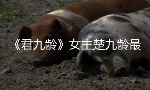 《君九齡》女主楚九齡最后復仇成功了嗎？最后是誰做了皇帝？