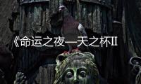 《命運(yùn)之夜—天之杯II ：迷失之蝶》引進(jìn)