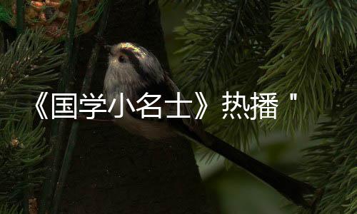 《國(guó)學(xué)小名士》熱播 