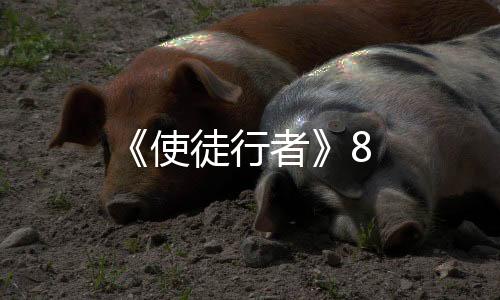 《使徒行者》8