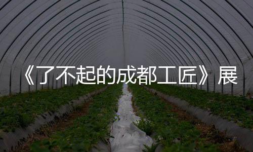 《了不起的成都工匠》展現女子力，揭秘預警機的“腦科醫生”