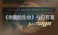 《親愛的生命》今日官宣 馮波真情出演護士長王英