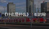 《什么是什么》：蛇的秘密生活(關于《什么是什么》：蛇的秘密生活簡述)