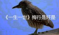 《一生一世》梅行是好是壞？梅行原型前世是太子嗎？
