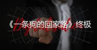 《一條狗的回家路》終極預(yù)告搶先治愈